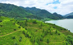 宜黄县风景区