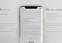 苹果5字体怎么调？小屏手机字体大小设置教程