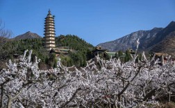 永济风景区