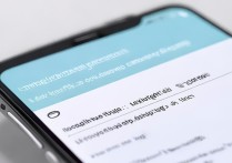 vivo手机怎么把系统语言改成英文？