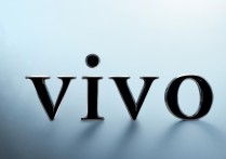 vivo品牌名怎么正确拼写？