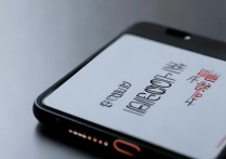 vivoy85手机耗电快，不插电能用一整天吗？