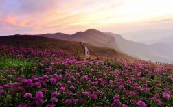 韭菜坪风景区