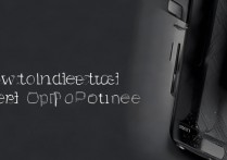 怎么鉴定oppo手机真假？OPPO手机真假查询方法有哪些？