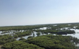 东兴七彩贝丘湾景区