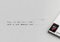 vivoy91用16g内存卡够用吗？使用体验和性能如何？