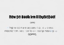 oppo手机怎么进入ins？oppo访问ins教程方法是什么？