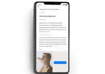 苹果手机计步器怎么彻底关闭？不想让它计步了怎么办？