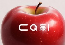 苹果qq里字体怎么改颜色？iPhone手机QQ字体颜色设置方法