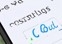 苹果7的iCloud选项去哪了？设置里找不到怎么办？