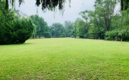 北京哪里有大草坪