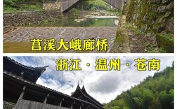 苍南县旅游攻略，如何玩转这座美丽的城市？