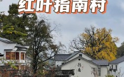 探索临安指南村，一份详尽的旅游攻略值得参考吗？