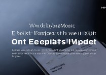 VIVO X3L开发者模式怎么打开？步骤是怎样的？