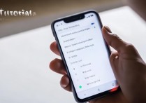 oppo手机怎么照相才能拍出清晰好看的照片？