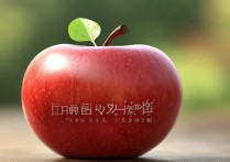 苹果手机怎么用搜狗输入法？设置步骤是怎样的？