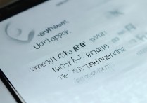 vivox3t不支持4G网络，升级也无法实现吗？