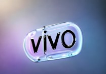 vivo 是啥意思