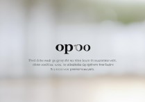 oppo的品牌理念