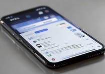 苹果手机上的程序怎么删除不了怎么办，iPhone 应用无法删除解决方法