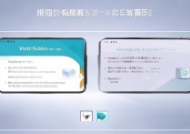 vivoy55s 有息屏显示功能吗？vivoy55s 消息提醒怎么设置？