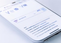 vivo 登录器怎么下载？