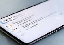 oppo手机怎么回放通话记录或视频？