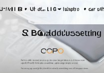 oppo手机如何调试usb？步骤详解与问题排查指南