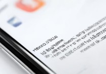 oppo手机怎么把魔秀主题设置为桌面主题？