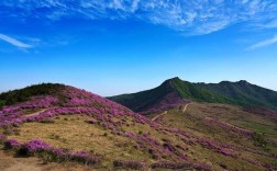 房山百花山自然风景区