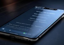 vivox1 2025年如何进入开发者模式？详细步骤教程来了！