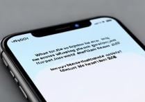 苹果手机屏幕显示一半怎么办？2025年最新排查方法