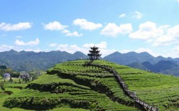 伍家台风景区简介