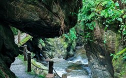 哀牢山风景区