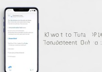 oppo手机怎么截图？oppo屏幕截图方法详解