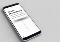 vivo双屏电话怎么查电话录音？