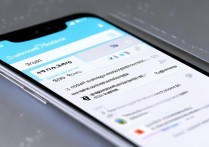 Xiaomi 12S Pro如何设置经典导航键？开启虚拟按键教程