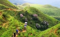 双滘鸡笼顶风景区