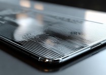 vivo手机屏幕出现黑白条纹是什么原因？