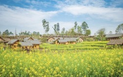 双流有什么风景区