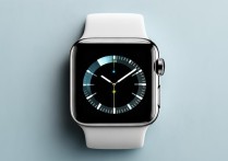 apple watch应用