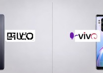 华为 vivo哪个好