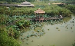 下渚湖风景区