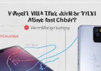 vivoT1X是否支持无线充电与快充呢？