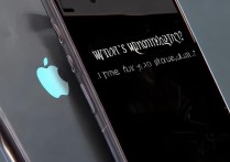 苹果6s玩着突然黑屏怎么回事