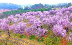 凤凰沟风景区在哪里