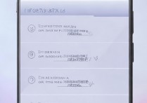 vivox6怎么把圆点打开，vivox6悬浮球怎么设置出来