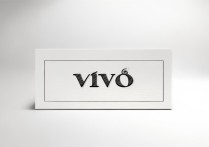 查找vivo手机