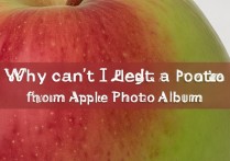 苹果照片共享相簿无法删除照片是什么原因导致的？