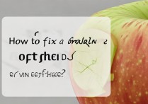 苹果的按钮坏了怎么办啊？自己修还是找官方？